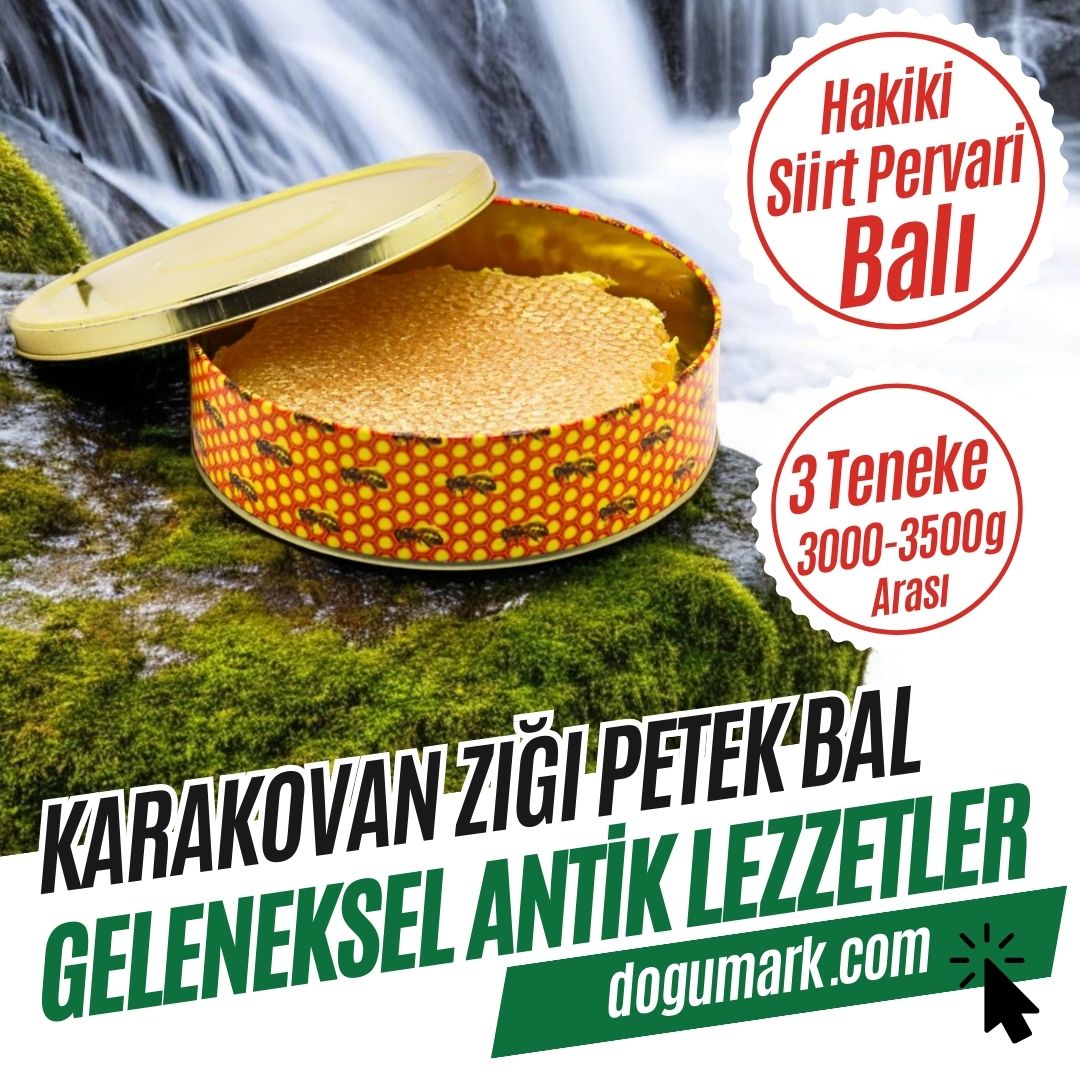 Siirt Pervari Hakiki Karakovan Zığı Petek Balı (3000-3500g Arası)
