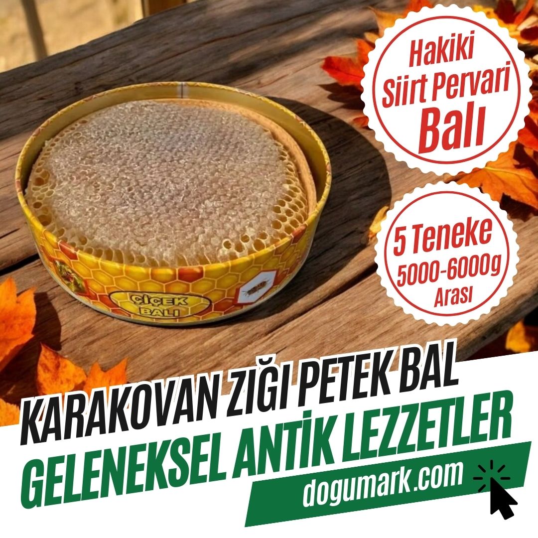 Siirt Pervari Hakiki Karakovan Zığı Petek Balı (5000-6000g Arası)