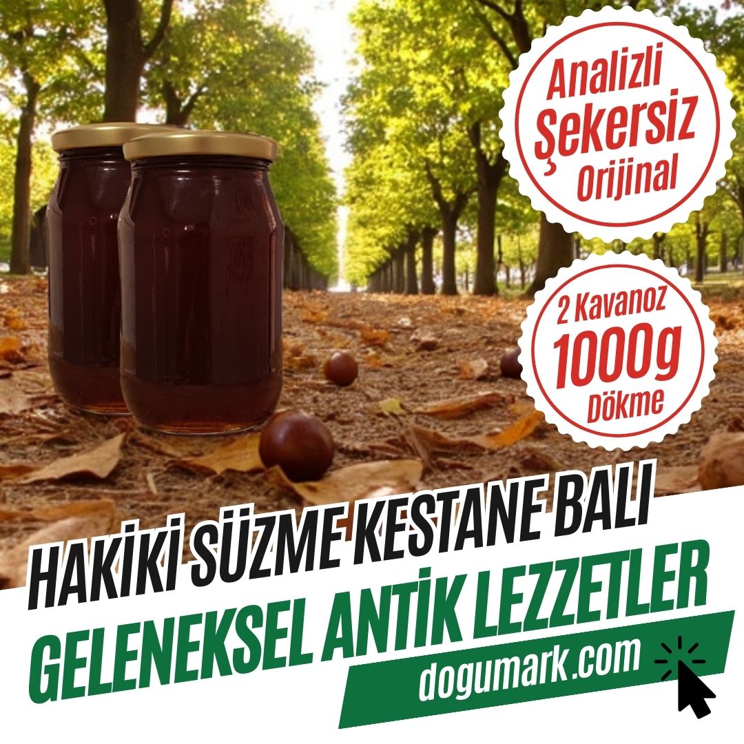 Analizli Şekersiz Hakiki Süzme Kestane Balı - (Net-1 Kg) - Dökme