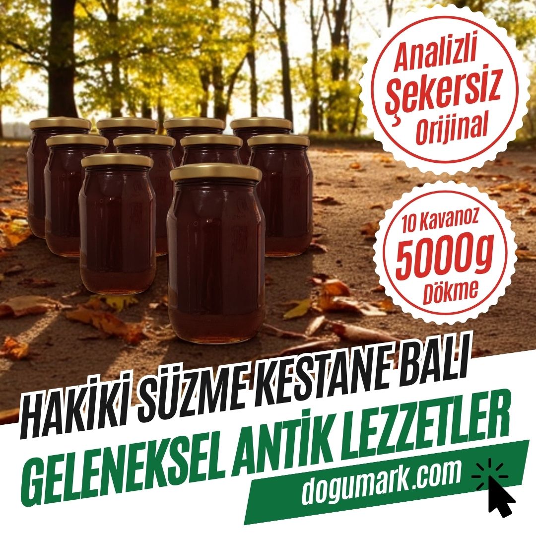 Analizli Şekersiz Hakiki Süzme Kestane Balı (Net-5 Kg) - Dökme