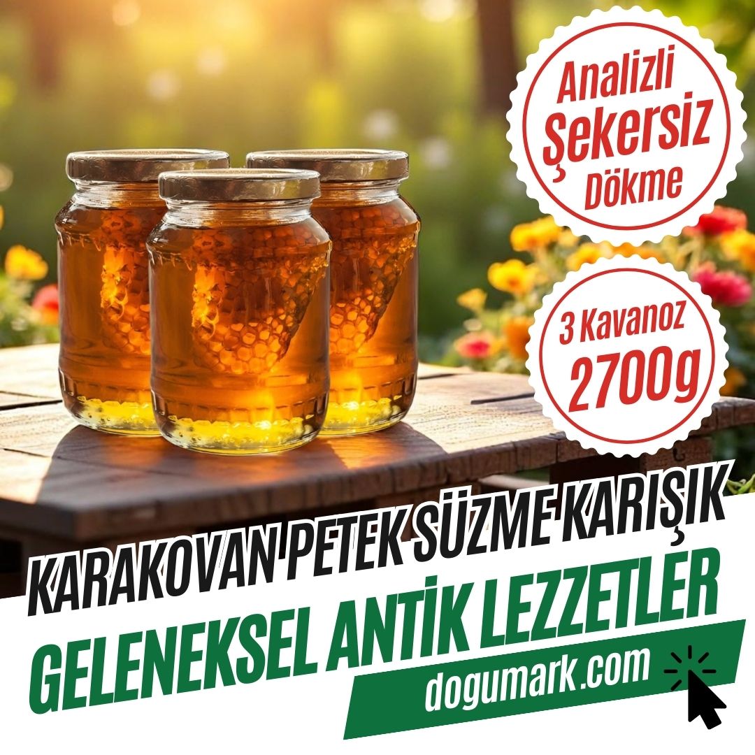 Hakiki Karakovan Petek Süzme Karışık Bal (3 Kavanoz 2700g)