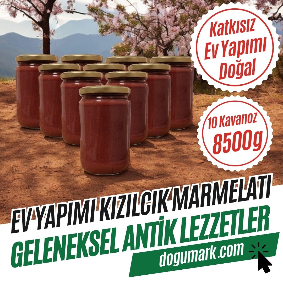 Katkısız Doğal Ev Yapımı Kızılcık Marmelatı (10 Kavanoz 8500g)