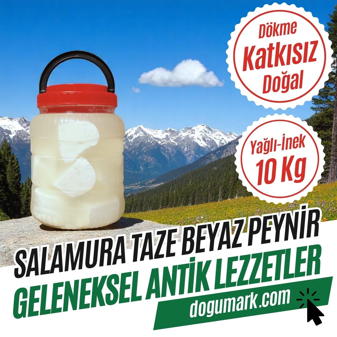 Dökme Köy Tipi Salamura Taze Beyaz Peynir - Yağlı - İnek (10 Kg)