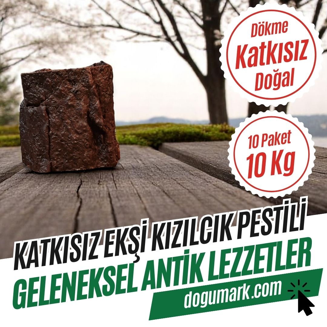 Katkısız Doğal Ekşi Kızılcık Pestili (10 Paket 10 Kg) - Dökme