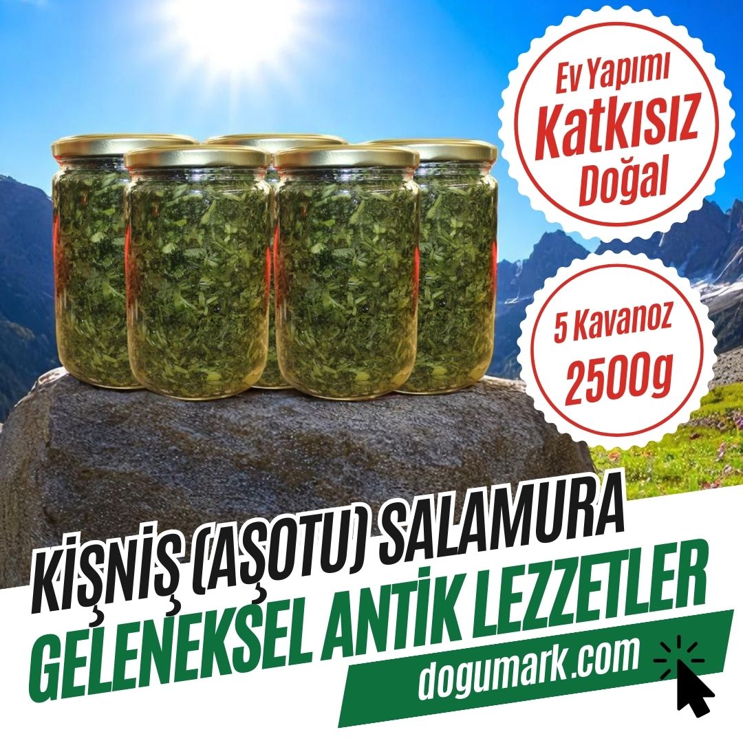 Katkısız Ev Yapımı Kişniş (Aşotu) Salamura - 5 Kavanoz (2500g)